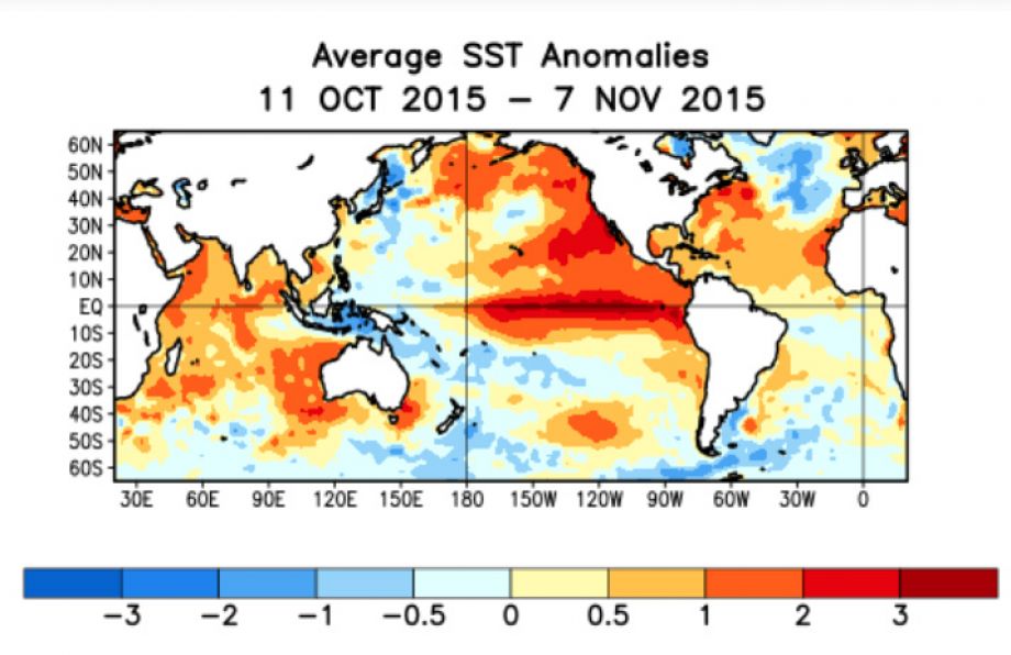 Mapa de anomalías de temperatura superficial del mar de la NOAA en octubre-noviembre de 2015: franja roja de agua más cálida que lo normal sobre el Pacífico ecuatorial