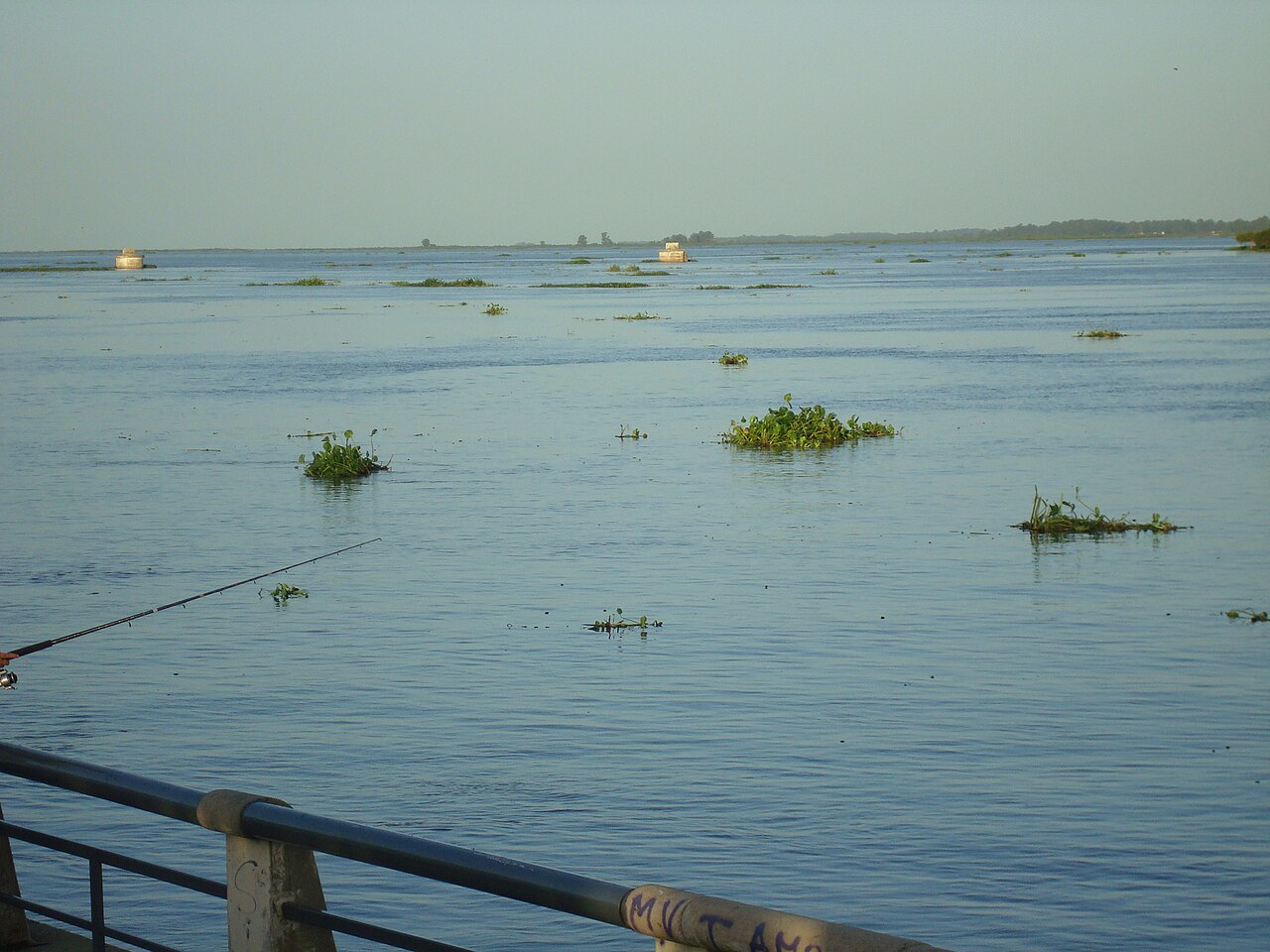 El río Paraná crecido en la laguna Setúbal, frente a la costanera de la ciudad de Santa Fe, con camalotes arrastrados por la corriente